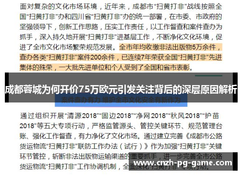 成都蓉城为何开价75万欧元引发关注背后的深层原因解析